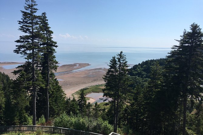 Bay of Fundy Tour by Bus - Bay of Fundy and St. Martins Sea Caves: plan for wet feet and tide timing