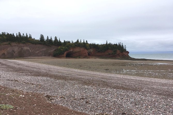 Bay of Fundy Tour by Bus - Price and value: what you pay $99 for, and what costs extra