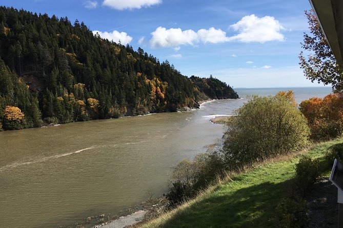 Bay of Fundy Tour by Bus - What to wear and bring for light walking and sea-cave access