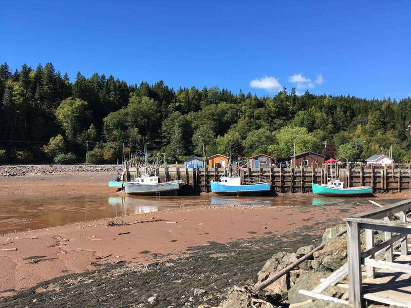 Bay of Fundy Tour by Mini Van - Marco Polo Cruise Terminal pickup, and why it matters