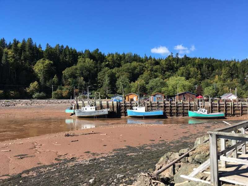 Bay of Fundy Tour by Mini Van - Fort Howe National Historic Site: a short guided history break