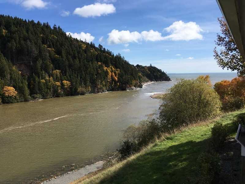 Bay of Fundy Tour by Mini Van - Saint John City Market: the last 30 minutes for local flavor