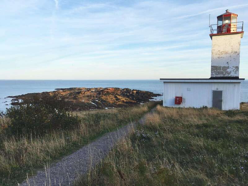 Bay of Fundy Tour by Mini Van - Guide style and the small details that can make or break it