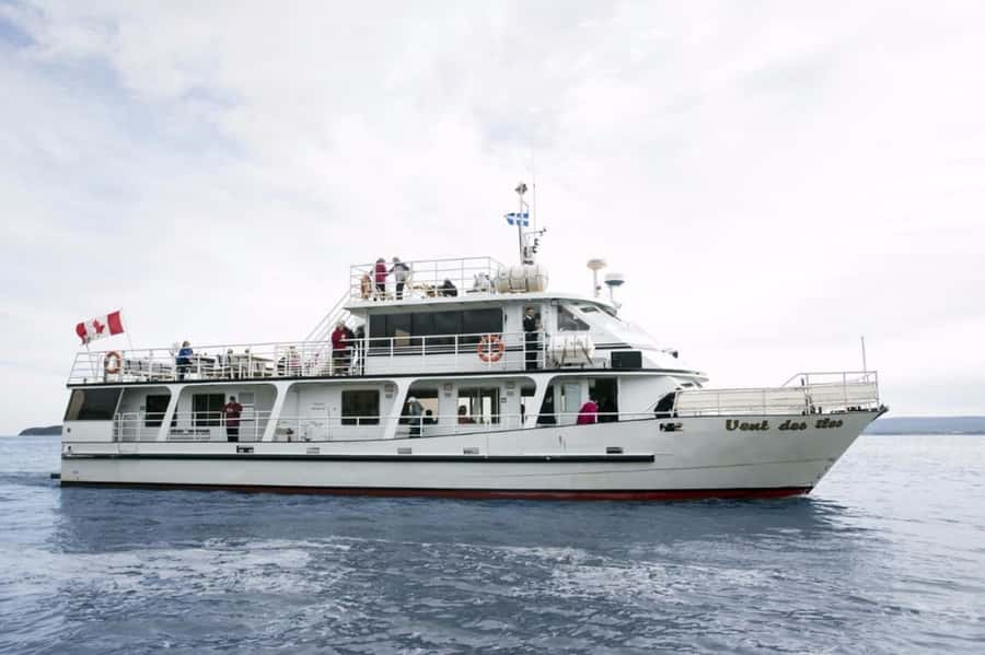 Berthier-sur-Mer: 1000 Razorbill Penguins Observation Cruise - Key highlights you will actually care about