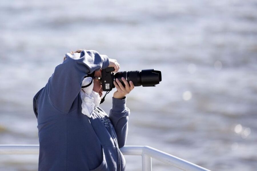 Berthier-sur-Mer: 1000 Razorbill Penguins Observation Cruise - Price and value: is $73 a good deal for a bird-focused 5-hour cruise?