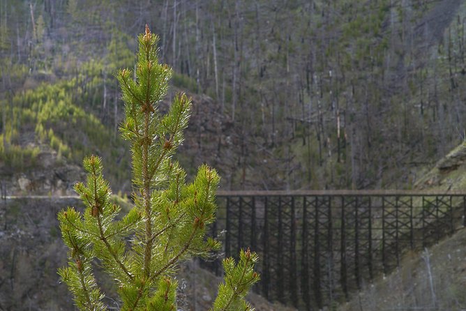 Bicyle Tour on Historical Kettle Valley Railway from Myra Canyon to Penticton - D’Angelo or Hillside finish: the included wine tasting payoff