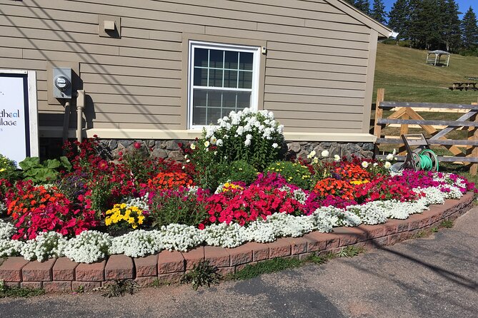 Blackwood Tours: Highland Village, Baddeck, Bell Museum Tour - St. Anns Lookoff and Seal Island Views for Cabot Trail Clues