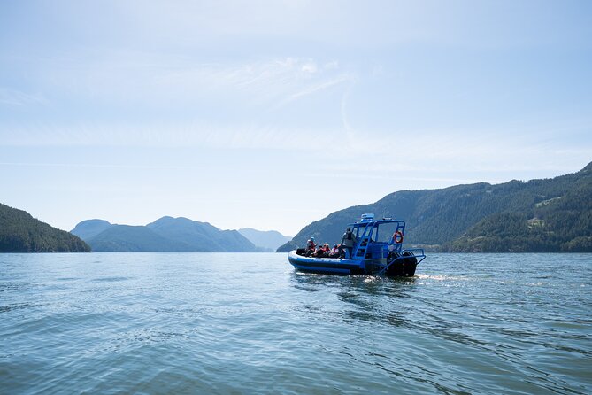 Bowen Island Dinner and Zodiac Boat Tour by Vancouver Water Adventures - The Photo Stop Rhythm: Lions Gate, Lighthouse Park, and More
