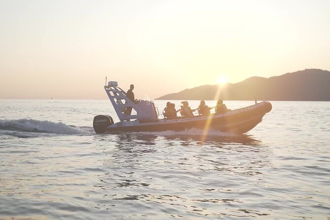 Bowen Island Dinner and Zodiac Boat Tour by Vancouver Water Adventures - False Creek to Stanley Park Speeds: Landmarks From the Front Row