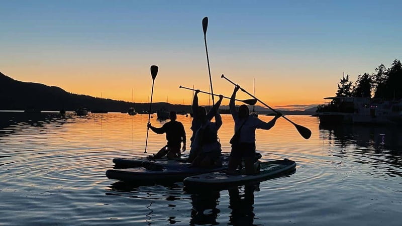 Brentwood Bay: Bioluminescence Tour - Seasonality and expectations: how to get the best glow