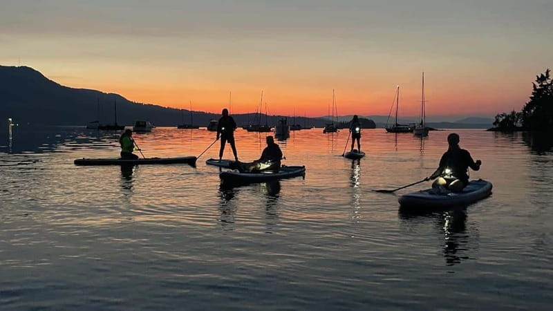 Brentwood Bay: Bioluminescence Tour - Brentwood Bay Bioluminescence Tour: what you are really buying for $74