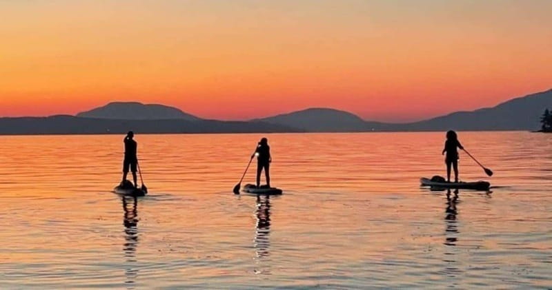 Brentwood Bay: Bioluminescence Tour - The 5-minute safety briefing: short, but worth your attention