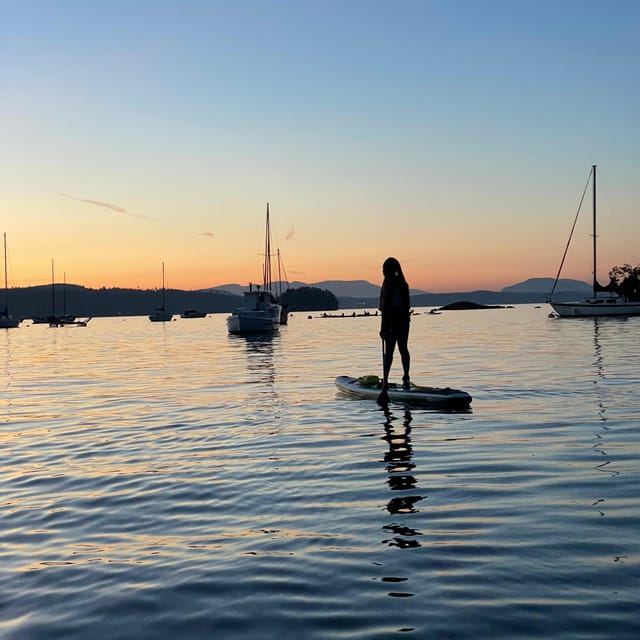Brentwood Bay: Bioluminescence Tour - Who this tour is best for (and who might want a different plan)