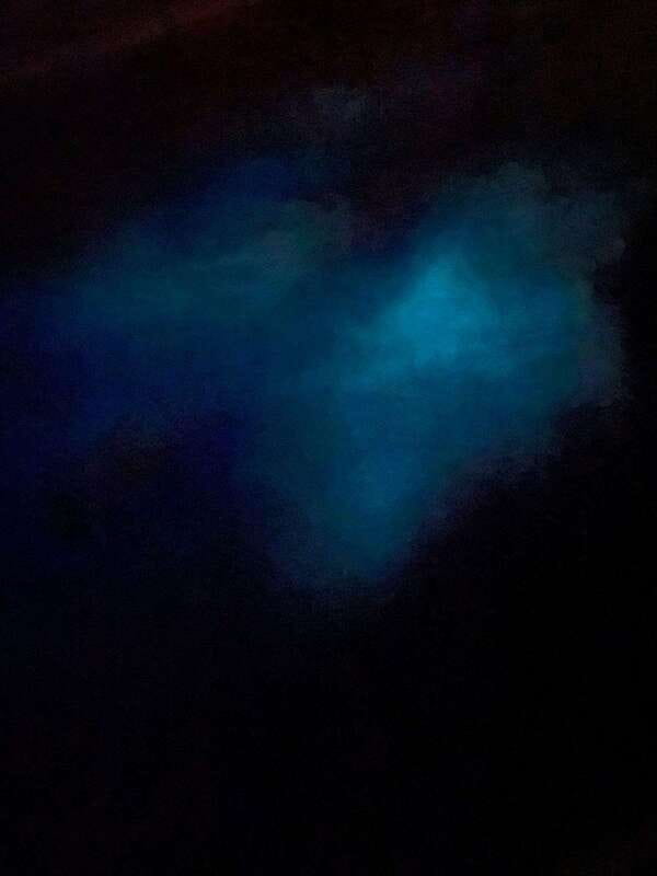 Brentwood Bay: Bioluminescence Tour - Where the tour starts near 819 Verdier Ave, and how to find it fast