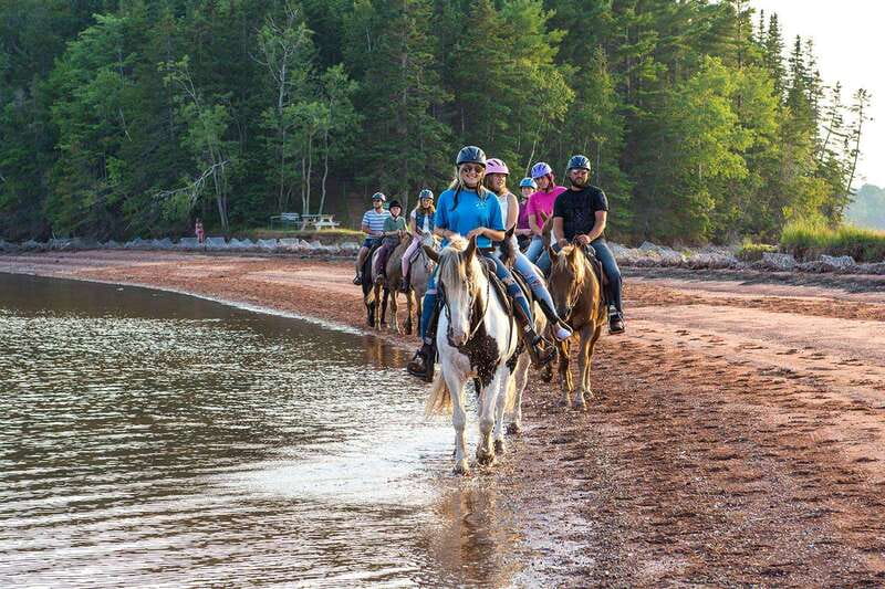 Brudenell: Family-Friendly Horse Ride goes on the Beach - Entering Brudenell Beach Country: The 45-Minute Ride Flow