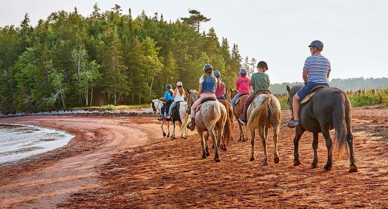 Brudenell: Family-Friendly Horse Ride goes on the Beach - From River Trail to the PEI Shore: What You’ll Actually See