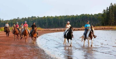 Brudenell: Family-Friendly Horse Ride goes on the Beach