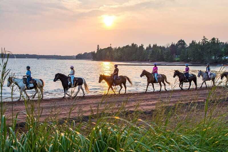 Brudenell: Family-Friendly Horse Ride goes on the Beach - Practical Gear Rules: What to Bring (and What to Leave Behind)