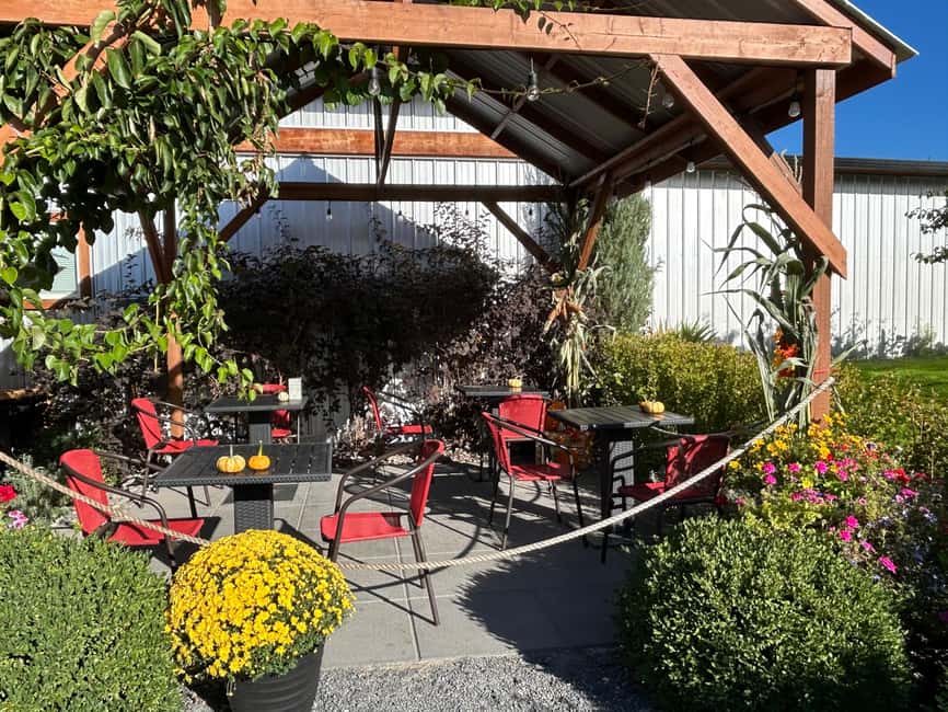 Buzz + Bites! Lunch for Two in East Kelowna - Meadow Vista Honey Wines, With South East Kelowna Views Built In