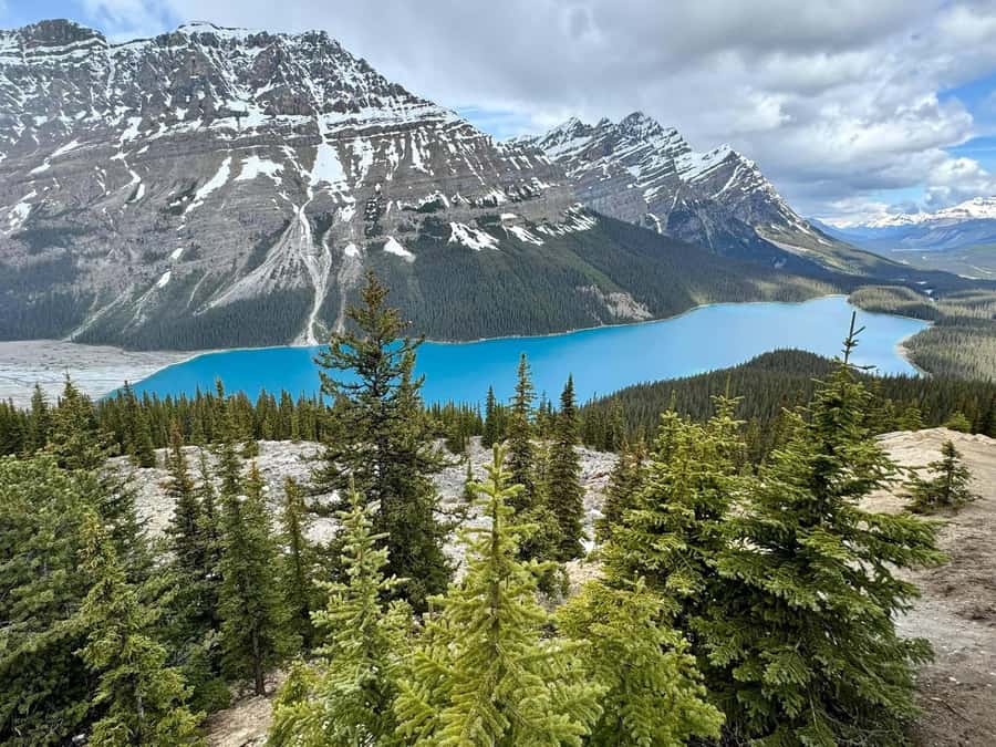 Calgary Banff: Columbia Icefield, Skywalk and Lakes Day Tour - Key highlights that make this tour worth your time