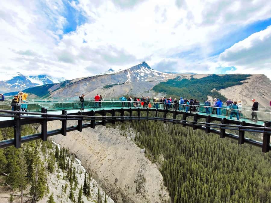 Calgary Banff: Columbia Icefield, Skywalk and Lakes Day Tour - Crowfoot Glacier viewpoint and Herbert Lake pass-by: the in-between moments matter