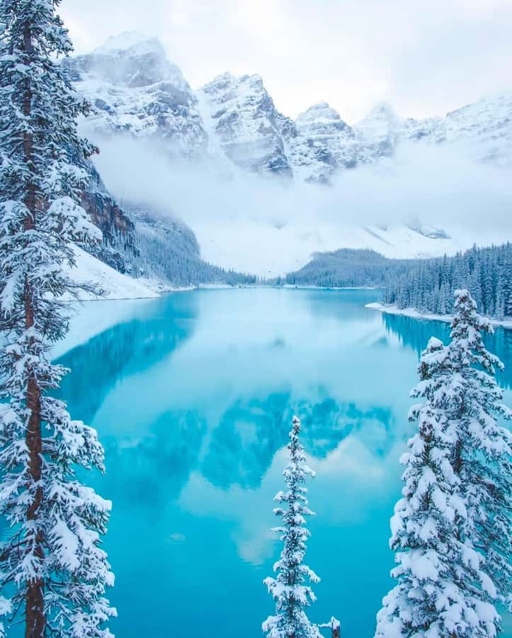 Calgary, Banff: Lake louise , Moraine ,Emerald Lake day Tour - Key Highlights You Will Actually Feel on the Day