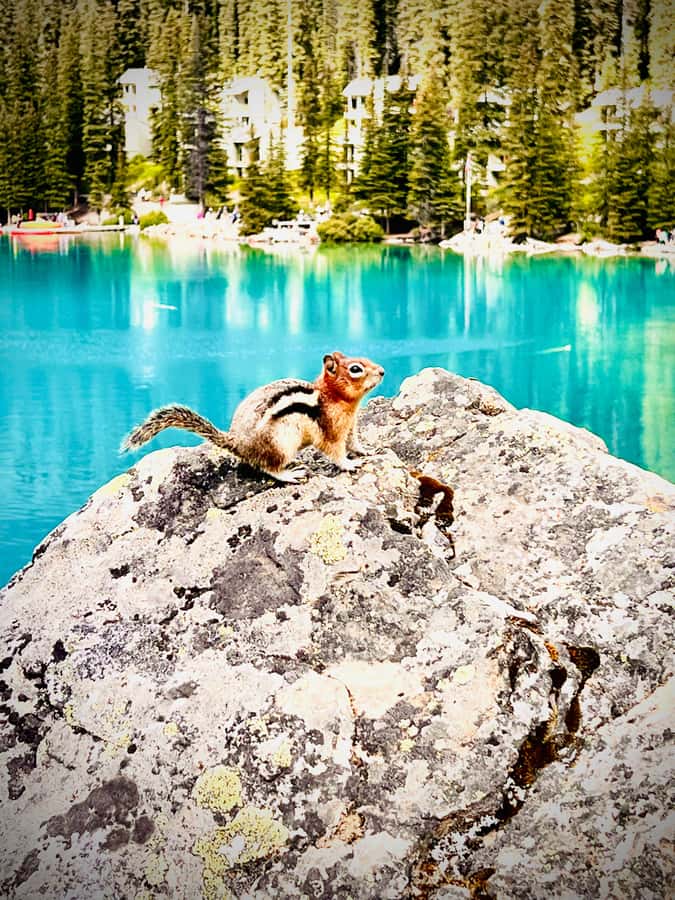 Calgary, Banff: Lake louise , Moraine ,Emerald Lake day Tour - Banff Shopping Stop, and What Changes After Oct 14