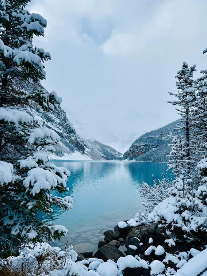Calgary, Banff: Lake louise , Moraine ,Emerald Lake day Tour - Pickup and Timing: Why the Start Time Matters