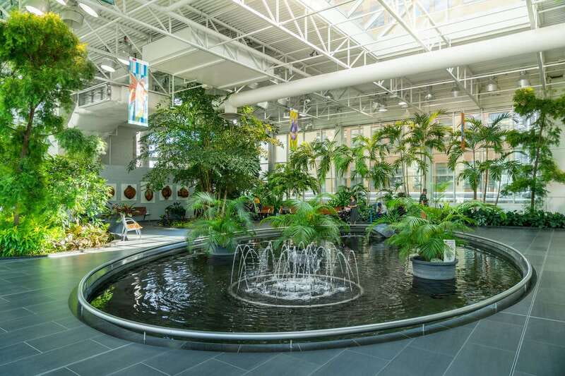 Calgary: City Highlights Walking Tour | 3-Hour - Key takeaways