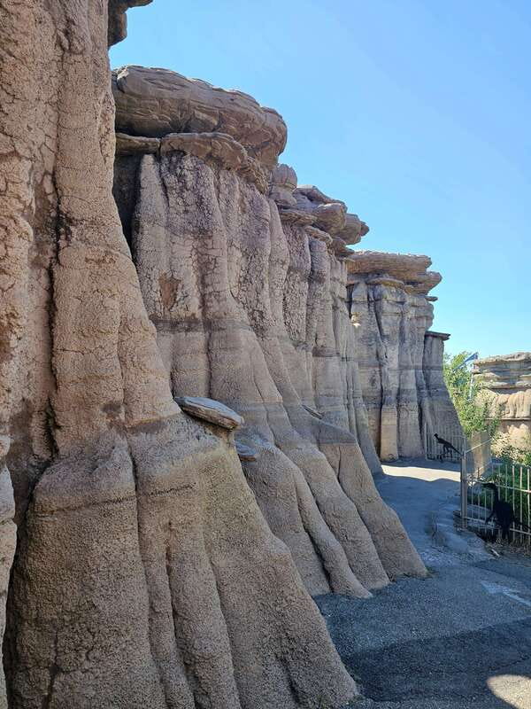 Calgary City Tour & Yamnuska Wolfdog Sanctuary Private Tour - Scotsman’s Hill viewpoints: short walk, big payback