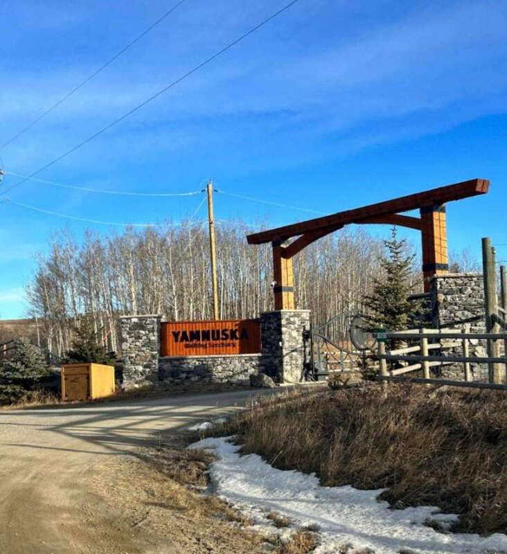 Calgary City Tour & Yamnuska Wolfdog Sanctuary Private Tour - Stephen Avenue on your terms, with lunch and free time
