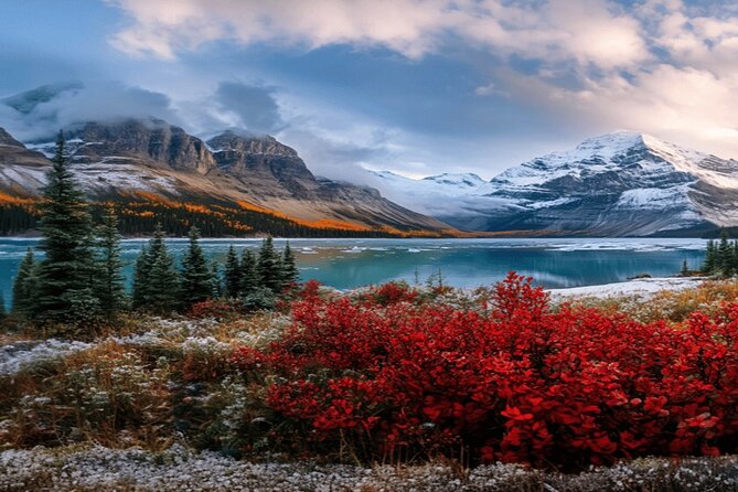Calgary: Columbia Icefield Adventure, Skywalk and Peyto Lake Tour - Columbia Icefield Adventure and Skywalk: the main event, plus ticket reality