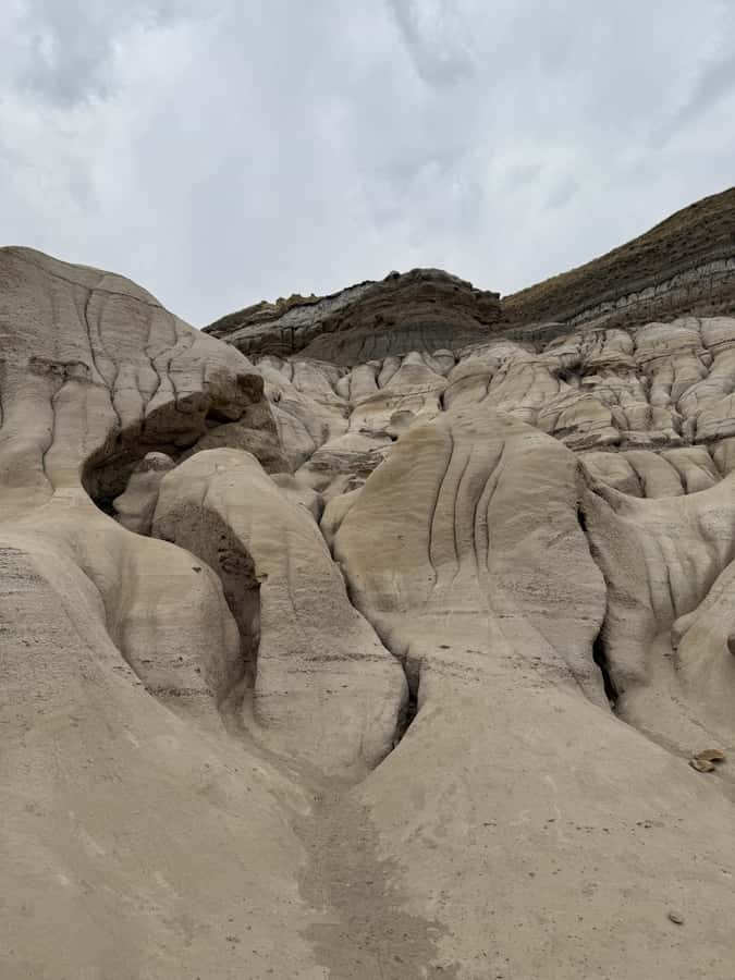 Calgary: Drumheller and Badlands Tour with Museum Entry - Who should book this Badlands and Drumheller loop?