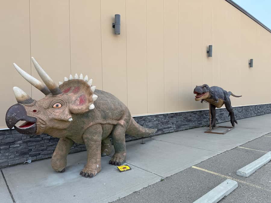 Calgary: Drumheller and Badlands Tour with Museum Entry - Royal Tyrrell Museum fast-track entry for dinosaur people and non-dinosaur people