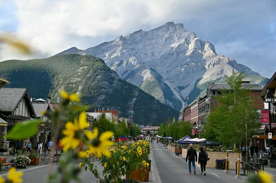 Calgary: Lake Louise, Emerald Lake, and Johnston Canyon Tour - Price and value: what your money buys in a day like this