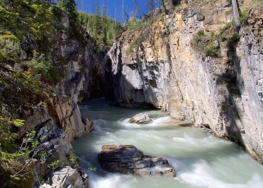 Calgary: Radium Hot Springs & Marble Canyon Day Trip - Marble Canyon’s seven-bridge gorge walk