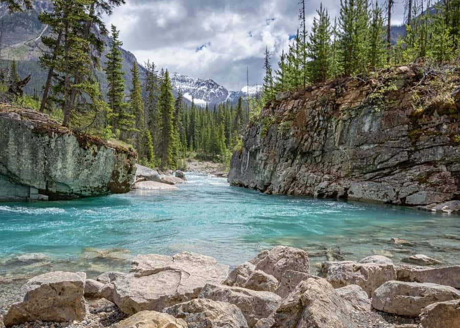 Calgary: Radium Hot Springs & Marble Canyon Day Trip - Radium Hot Springs: the odorless, clear mineral soak