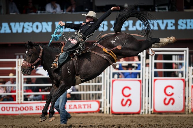 Calgary Stampede Afternoon Rodeo - Key things to know before you go