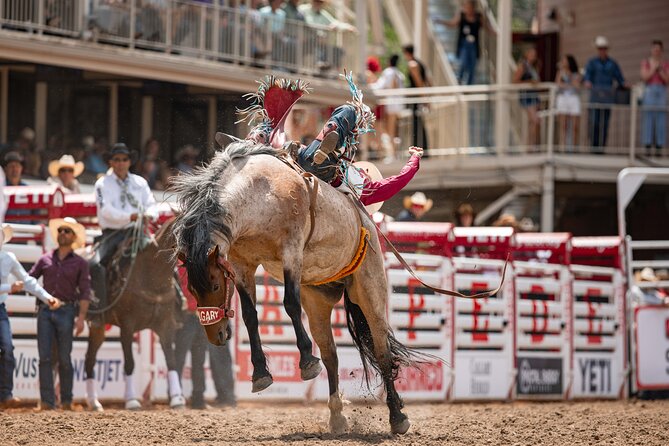 Calgary Stampede Afternoon Rodeo - What the Afternoon Rodeo Feels Like, Seven Events in 3 Hours