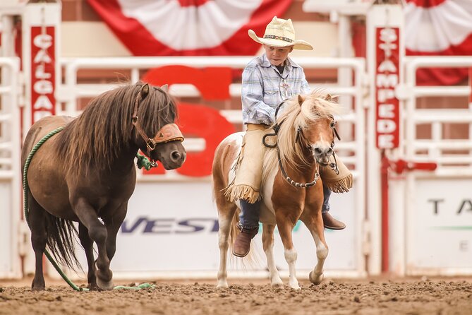 Calgary Stampede Afternoon Rodeo - What Is Included, What You Must Budget for on Site