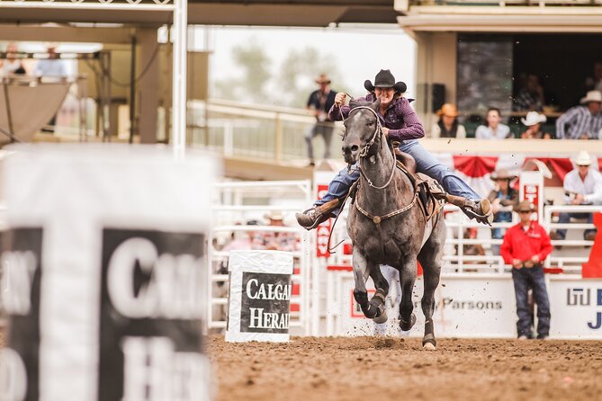 Calgary Stampede Afternoon Rodeo - Rules That Affect Your Day: What You Can and Cannot Bring