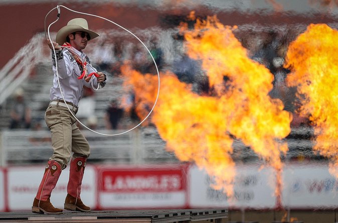 Calgary Stampede Afternoon Rodeo - Small Group Vibe and Seating Considerations
