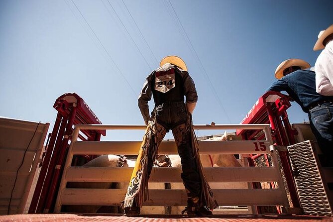 Calgary Stampede Afternoon Rodeo - Timing: 1:30 p.m. Start and the 3-Hour Show Window