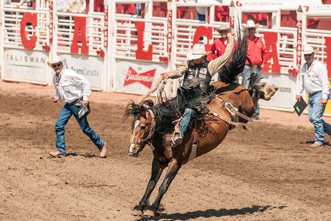 Calgary Stampede Two Day Thrill Package - The Calgary Stampede experience in plain language