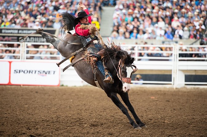Calgary Stampede Two Day Thrill Package - Day 2: Evening Show in Level 5 seats, Chuckwagon racing, and fireworks
