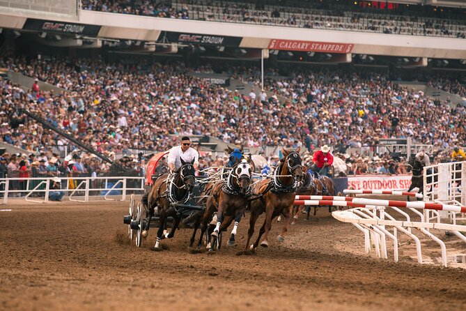 Calgary Stampede Two Day Thrill Package - Crowds, timing, and how to avoid the common friction points