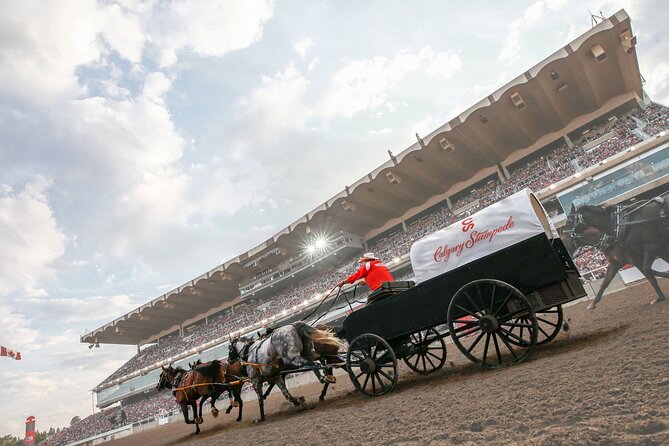 Calgary Stampede Two Day Thrill Package - Food, music, and the Midway: what to plan around