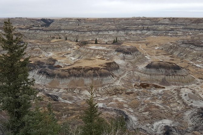 Calgary to Royal Museum | Drumheller – PRIVATE TOUR - Stop 7: Horsethief Canyon, Big Feeling in a Short Visit