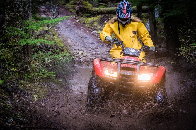 Call of the Wild ATV Tour - Collision coverage and budgeting the real total cost