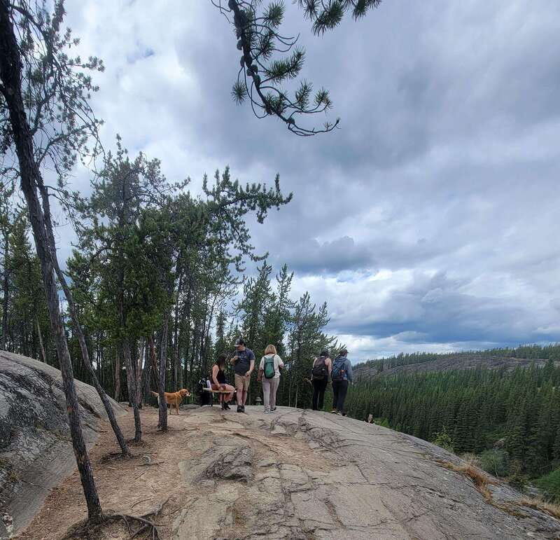 Cameron Falls Waterfall Tour - The hike to Cameron Falls: moderate, rocky, and paced for actual people
